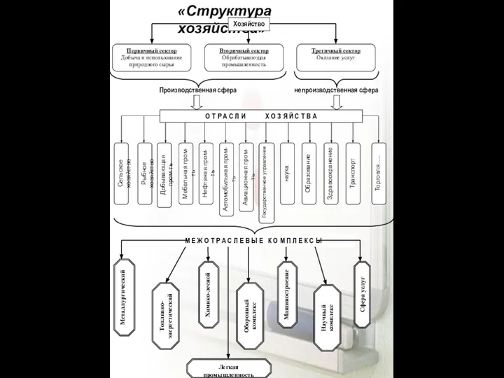 «Структура хозяйства»