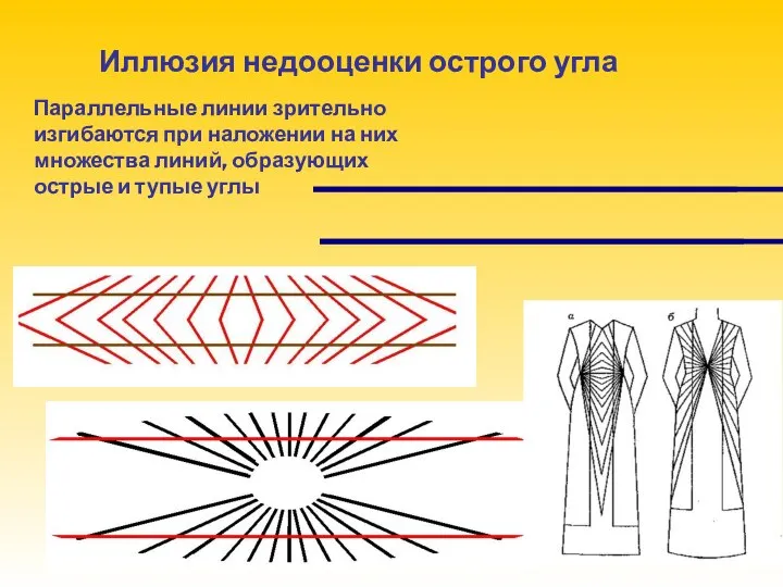 Параллельные линии зрительно изгибаются при наложении на них множества линий, образующих острые