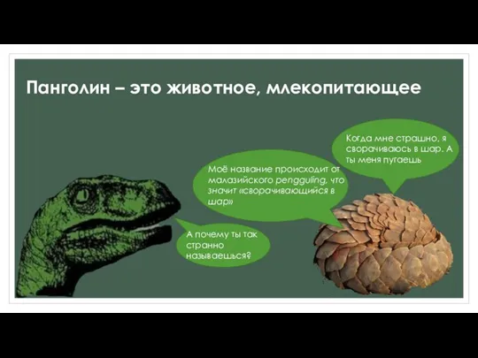 Панголин – это животное, млекопитающее А почему ты так странно называешься? Моё