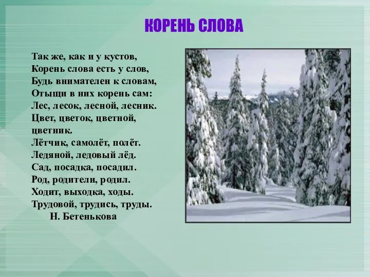 КОРЕНЬ СЛОВА Так же, как и у кустов, Корень слова есть у