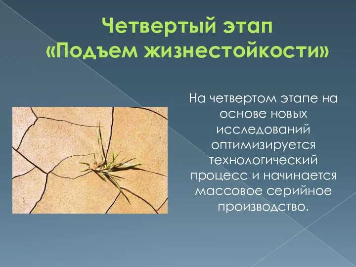 Четвертый этап «Подъем жизнестойкости» На четвертом этапе на основе новых исследований оптимизируется