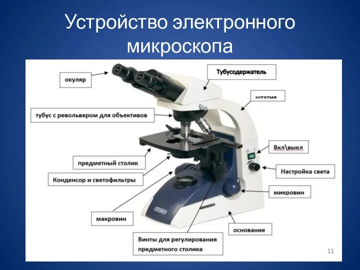 Устройство электронного микроскопа