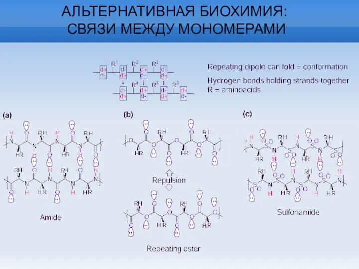 АЛЬТЕРНАТИВНАЯ БИОХИМИЯ: СВЯЗИ МЕЖДУ МОНОМЕРАМИ