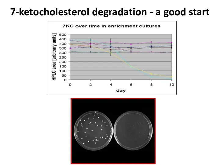 7-ketocholesterol degradation - a good start