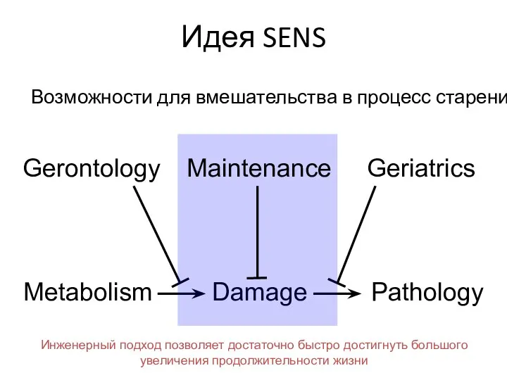 Pathology Gerontology Geriatrics Metabolism Damage Идея SENS Возможности для вмешательства в процесс старения