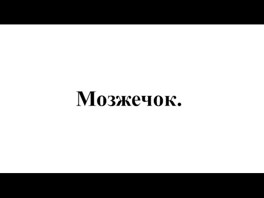 Мозжечок.