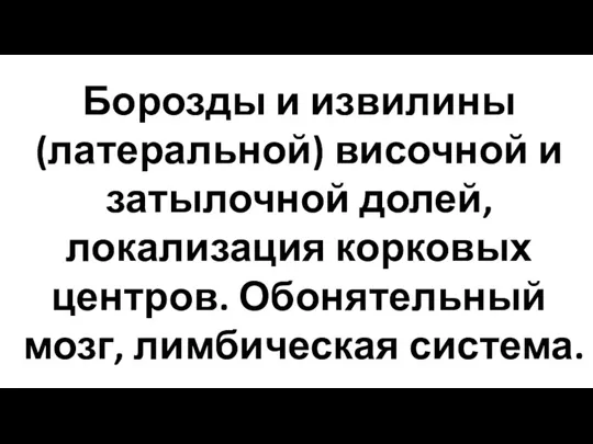 Борозды и извилины (латеральной) височной и затылочной долей, локализация корковых центров. Обонятельный мозг, лимбическая система.