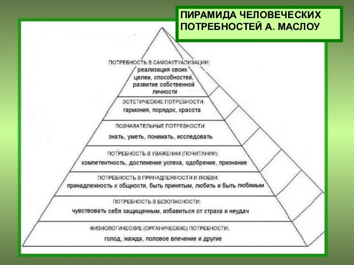 ПИРАМИДА ЧЕЛОВЕЧЕСКИХ ПОТРЕБНОСТЕЙ А. МАСЛОУ