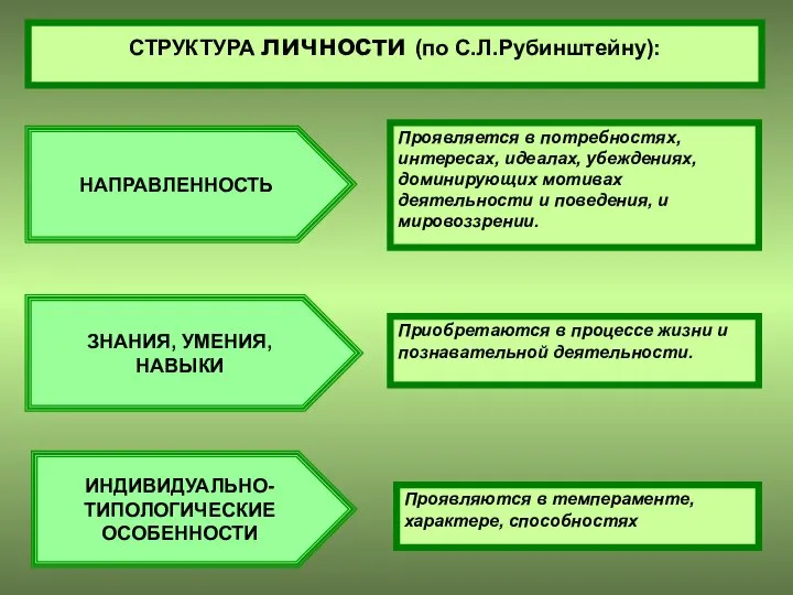 СТРУКТУРА личности (по С.Л.Рубинштейну): НАПРАВЛЕННОСТЬ ЗНАНИЯ, УМЕНИЯ, НАВЫКИ ИНДИВИДУАЛЬНО- ТИПОЛОГИЧЕСКИЕ ОСОБЕННОСТИ Проявляется