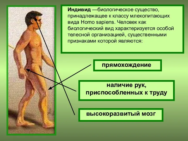 Индивид —биологическое существо, принадлежащее к классу млекопитающих вида Homo sapiens. Человек как