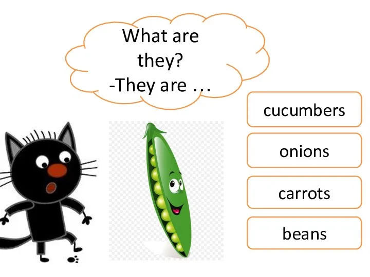 What are they? -They are … cucumbers onions carrots beans