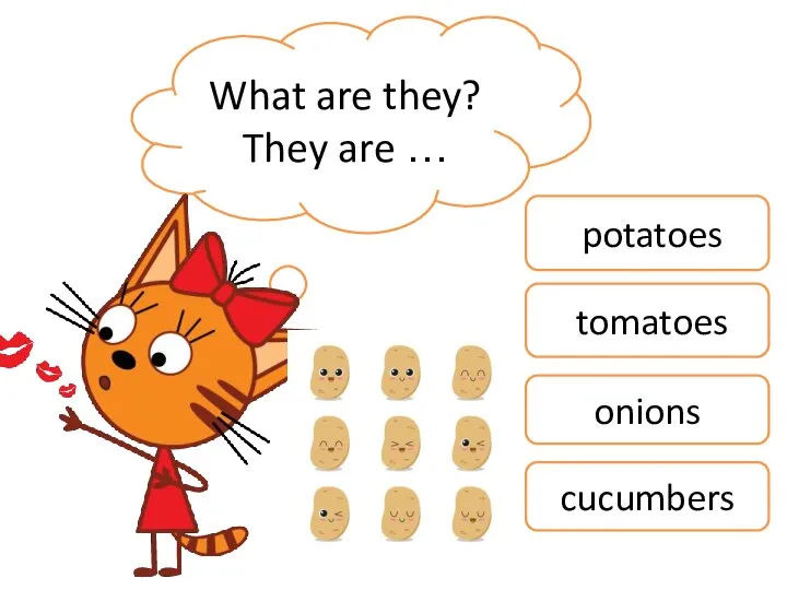What are they? They are … potatoes tomatoes onions cucumbers