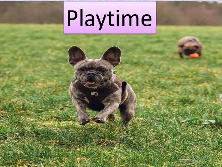 Playtime