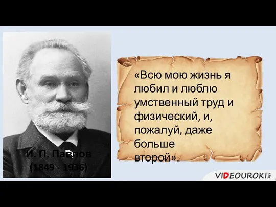 «Всю мою жизнь я любил и люблю умственный труд и физический, и,