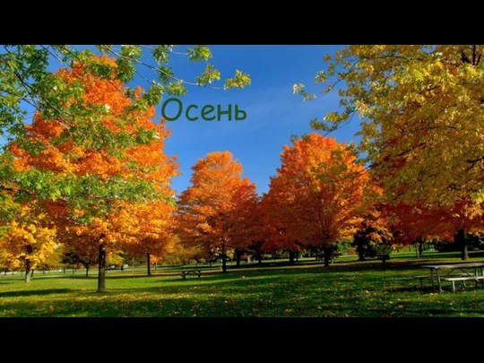 Осень