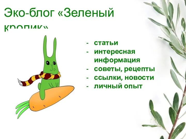 Эко-блог «Зеленый кролик» статьи интересная информация советы, рецепты ссылки, новости личный опыт