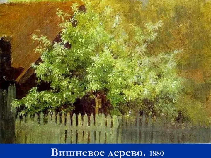 Вишневое дерево. 1880