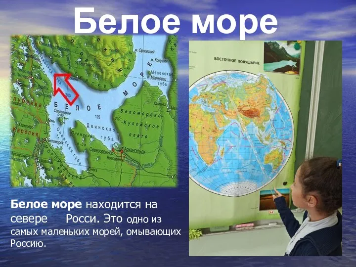 Белое море Белое море находится на севере Росси. Это одно из самых маленьких морей, омывающих Россию.