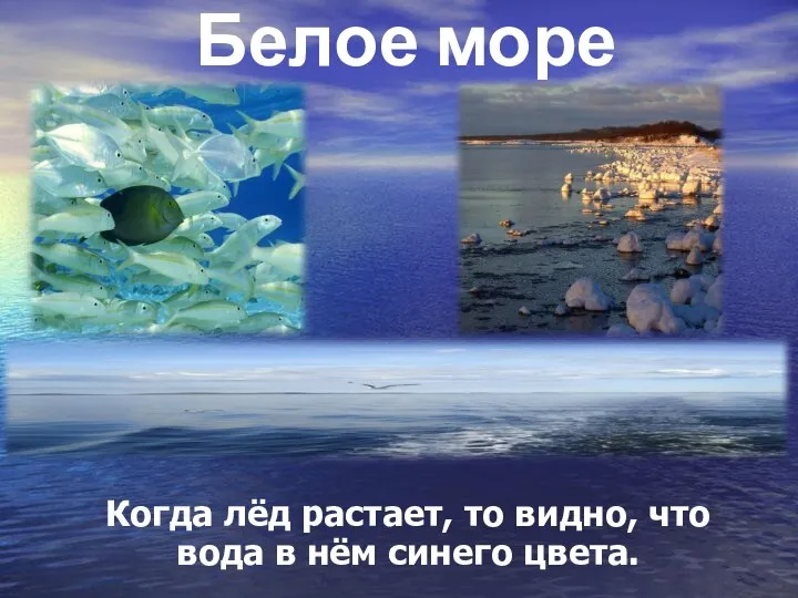 Белое море Когда лёд растает, то видно, что вода в нём синего цвета.