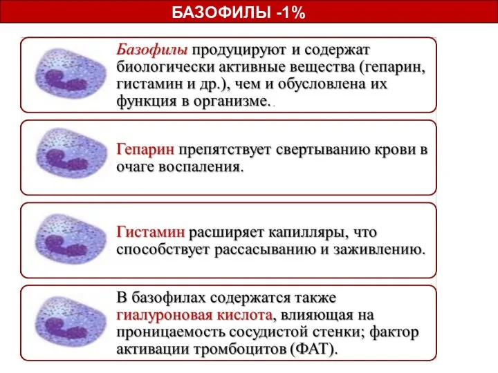 БАЗОФИЛЫ -1%