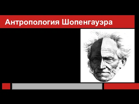 Антропология Шопенгауэра Цитата: «Зло в жизни, как мы его видим, есть просто