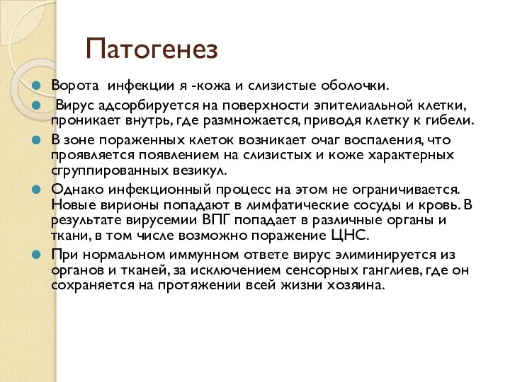 Патогенез Ворота инфекции я -кожа и слизистые оболочки. Вирус адсорбируется на поверхности