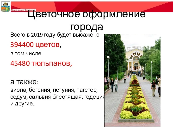 Цветочное оформление города Всего в 2019 году будет высажено 394400 цветов, в