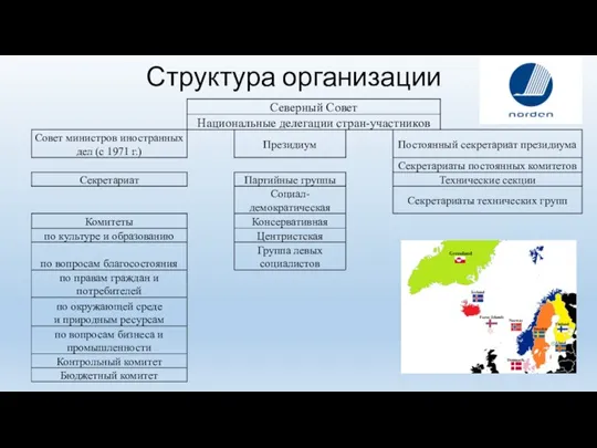 Структура организации