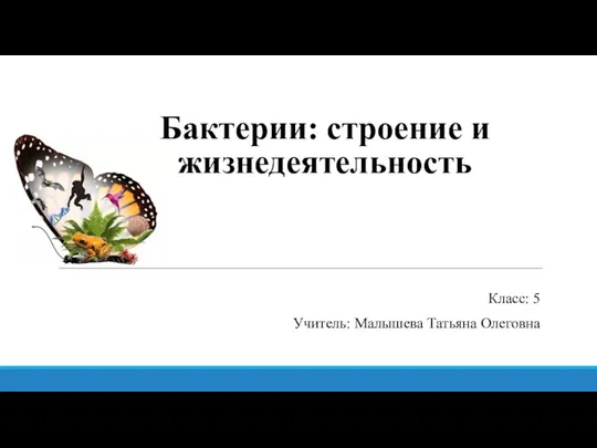 Бактерии: строение и жизнедеятельность Класс: 5 Учитель: Малышева Татьяна Олеговна