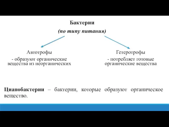 Бактерии (по типу питания) Автотрофы - образуют органические вещества из неорганических Гетеротрофы