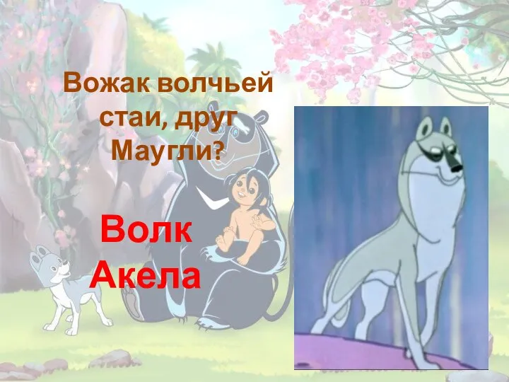 Вожак волчьей стаи, друг Маугли? Волк Акела