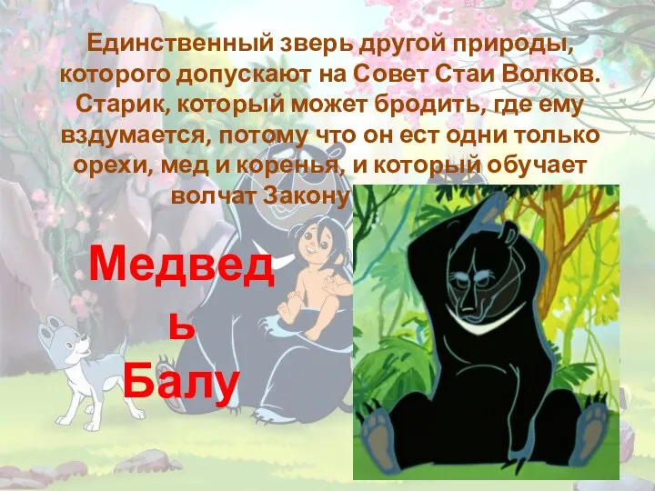 Единственный зверь другой природы, которого допускают на Совет Стаи Волков. Старик, который