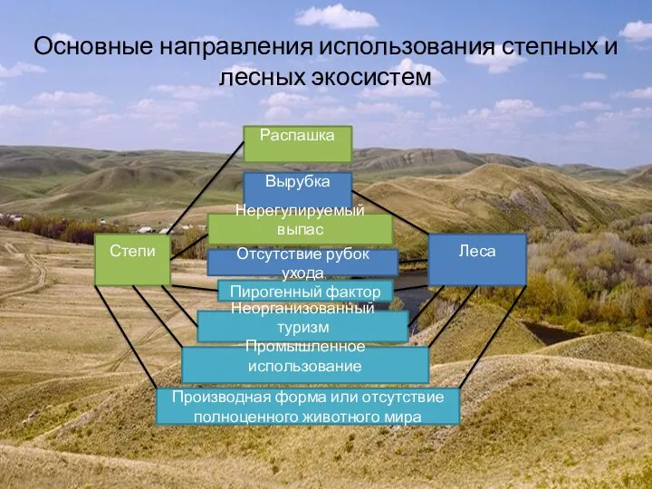 Основные направления использования степных и лесных экосистем