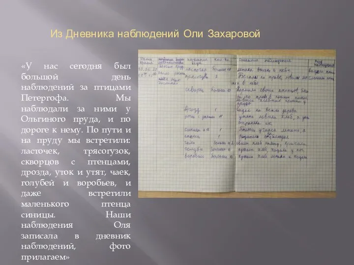 Из Дневника наблюдений Оли Захаровой «У нас сегодня был большой день наблюдений