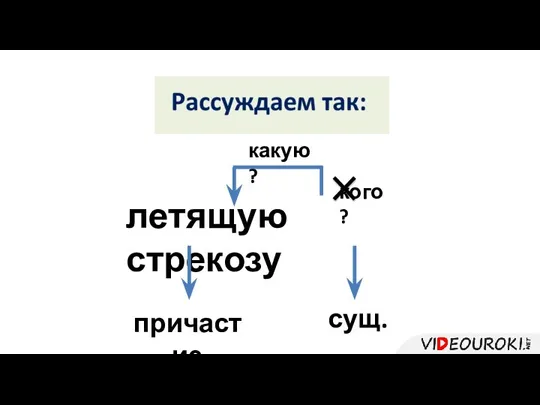 летящую стрекозу какую? кого? сущ. причастие