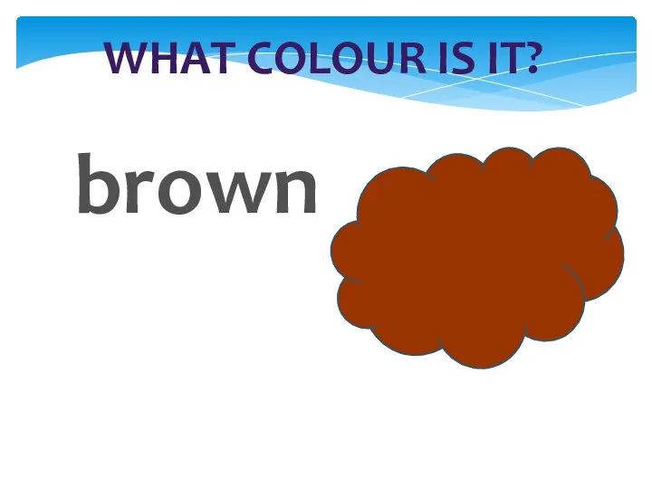 WHAT COLOUR IS IT? brown