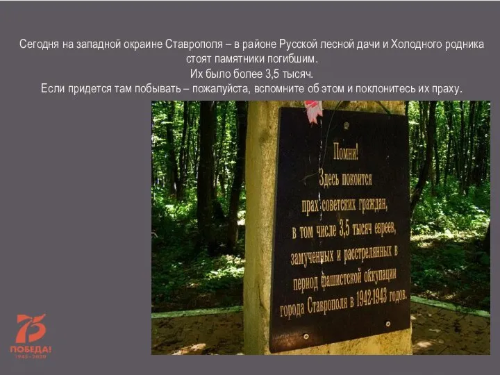 Сегодня на западной окраине Ставрополя – в районе Русской лесной дачи и