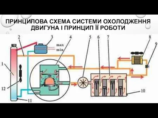 ПРИНЦИПОВА СХЕМА СИСТЕМИ ОХОЛОДЖЕННЯ ДВИГУНА І ПРИНЦИП ЇЇ РОБОТИ