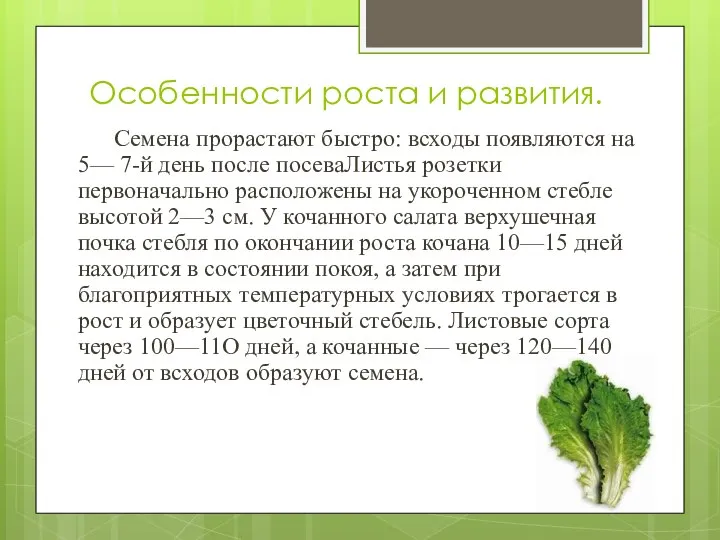 Особенности роста и развития. Семена прорастают быстро: всходы появляются на 5— 7-й