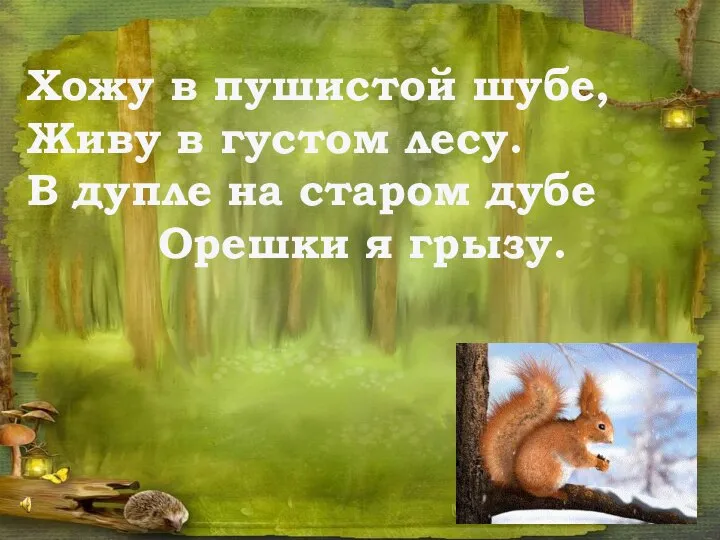 Хожу в пушистой шубе, Живу в густом лесу. В дупле на старом дубе Орешки я грызу.