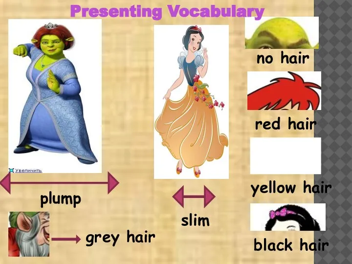 plump slim no hair red hair yellow hair black hair grey hair Presenting Vocabulary