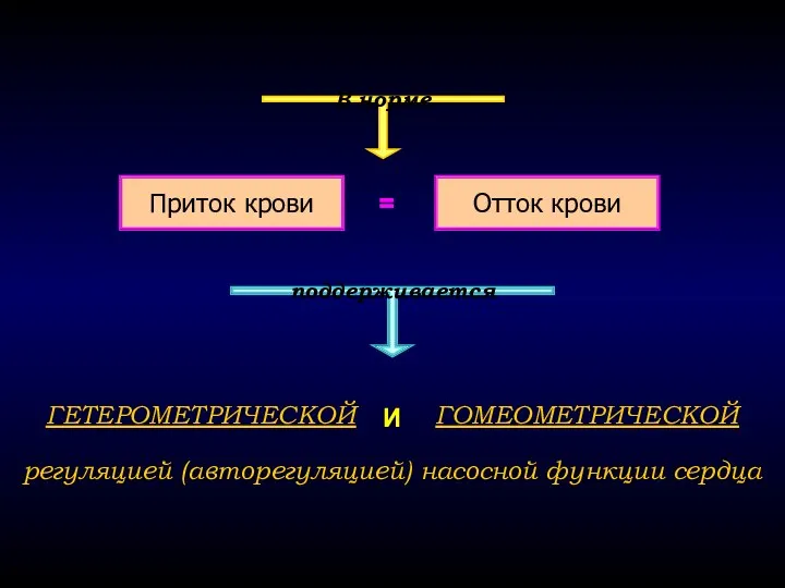 Приток крови = Отток крови регуляцией (авторегуляцией) насосной функции сердца ГЕТЕРОМЕТРИЧЕСКОЙ ГОМЕОМЕТРИЧЕСКОЙ В норме поддерживается И