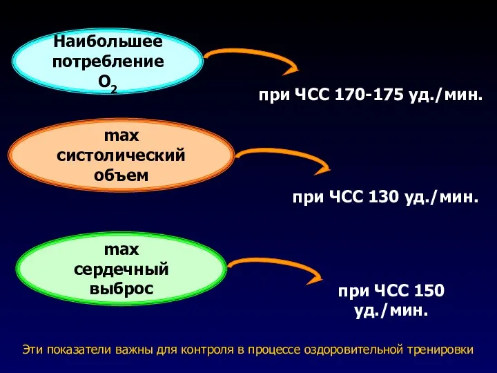 Наибольшее потребление О2 при ЧСС 170-175 уд./мин. max систолический объем при ЧСС