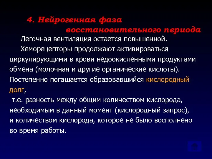 4. Нейрогенная фаза восстановительного периода Легочная вентиляция остается повышенной. Хеморецепторы продолжают активироваться