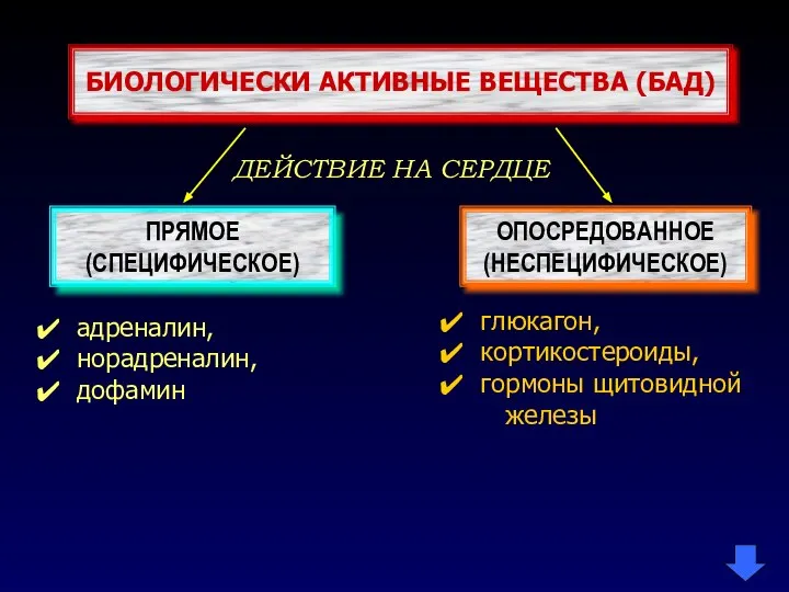 БИОЛОГИЧЕСКИ АКТИВНЫЕ ВЕЩЕСТВА (БАД) ПРЯМОЕ (СПЕЦИФИЧЕСКОЕ) ОПОСРЕДОВАННОЕ (НЕСПЕЦИФИЧЕСКОЕ) ДЕЙСТВИЕ НА СЕРДЦЕ адреналин,