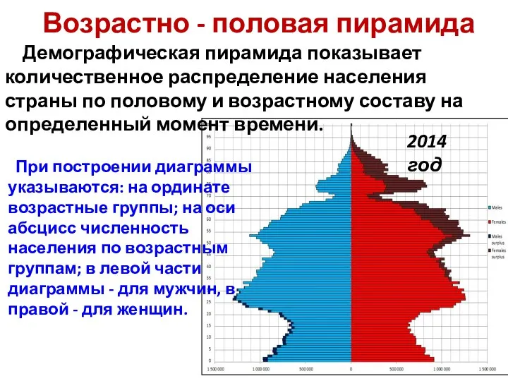 Возрастно - половая пирамида Демографическая пирамида показывает количественное распределение населения страны по