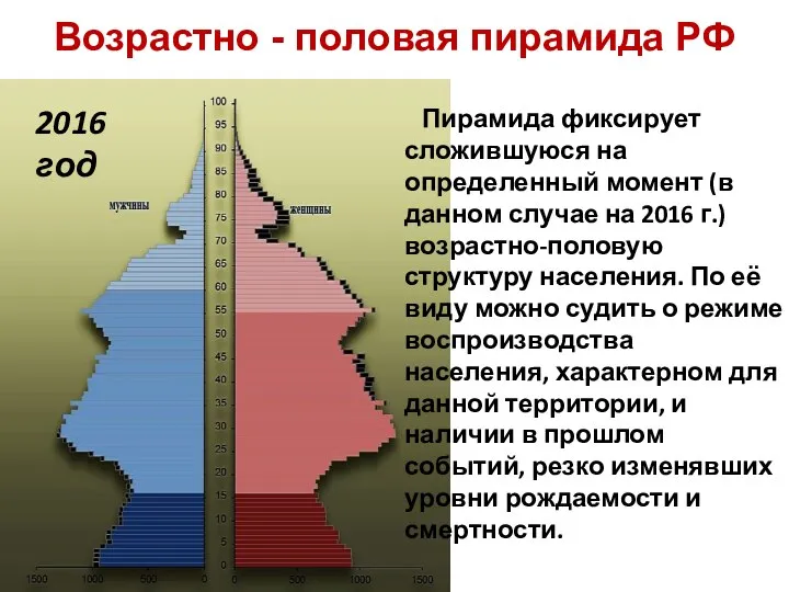 Возрастно - половая пирамида РФ 2016 год Пирамида фиксирует сложившуюся на определенный