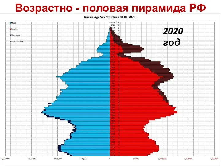 Возрастно - половая пирамида РФ 2020 год