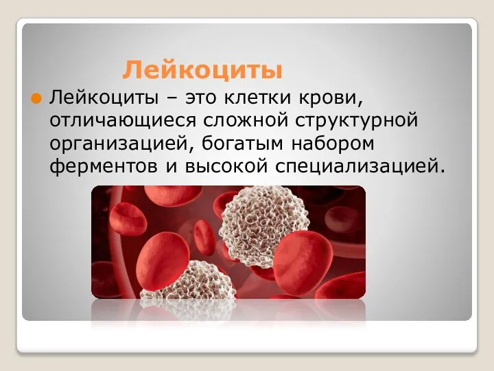 Лейкоциты Лейкоциты – это клетки крови, отличающиеся сложной структурной организацией, богатым набором ферментов и высокой специализацией.