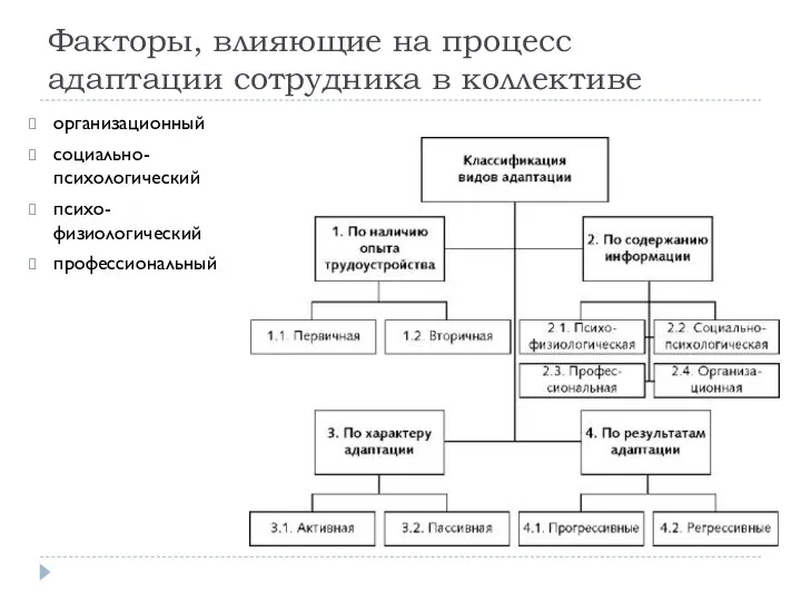 Факторы, влияющие на процесс адаптации сотрудника в коллективе организационный социально-психологический психо-физиологический профессиональный